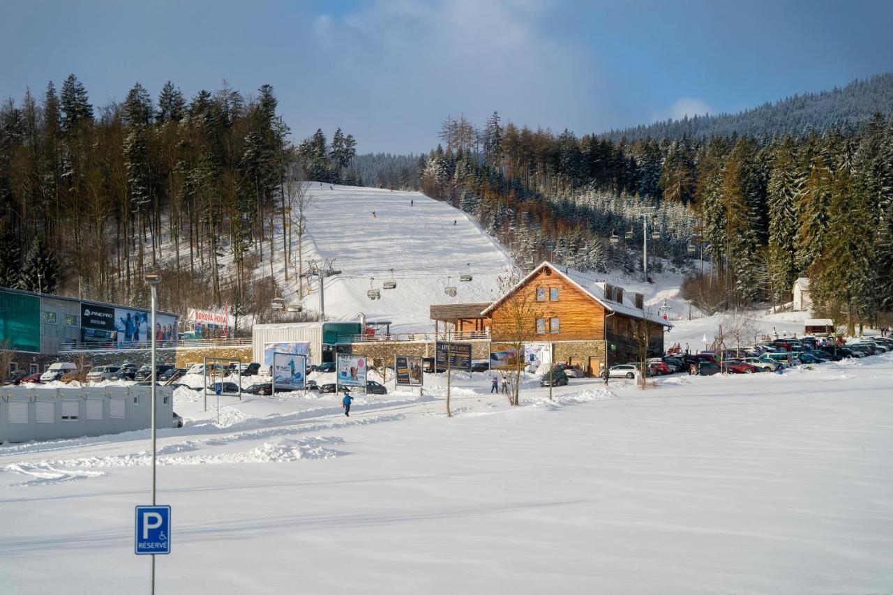 Apartman U Sucheho Buku - Bukova Hora Červená Voda エクステリア 写真