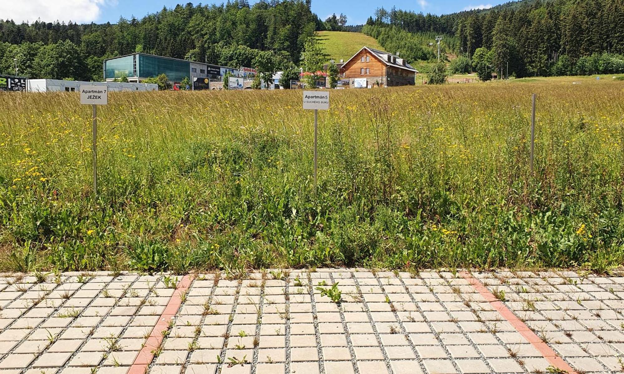 Apartman U Sucheho Buku - Bukova Hora Červená Voda エクステリア 写真