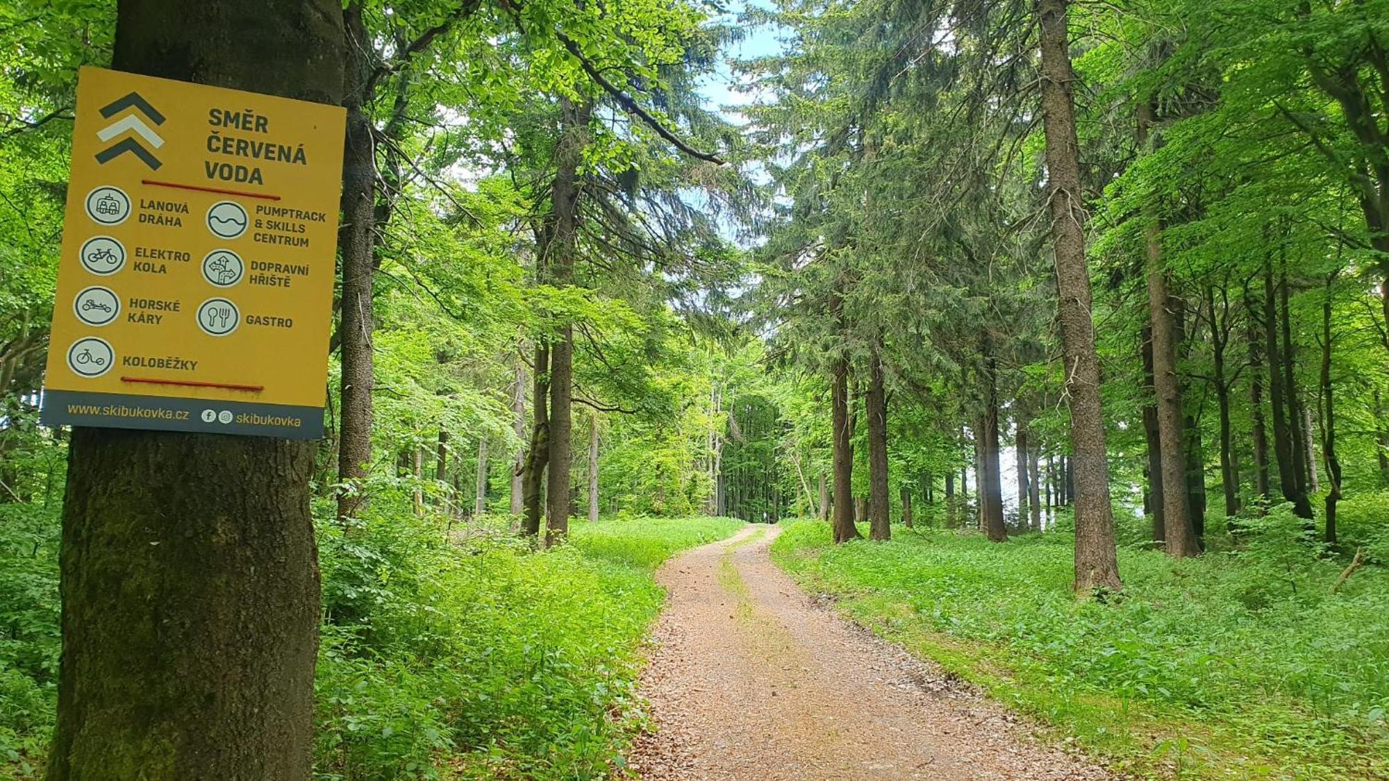 Apartman U Sucheho Buku - Bukova Hora Červená Voda エクステリア 写真
